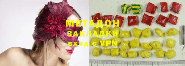 индика Алексин