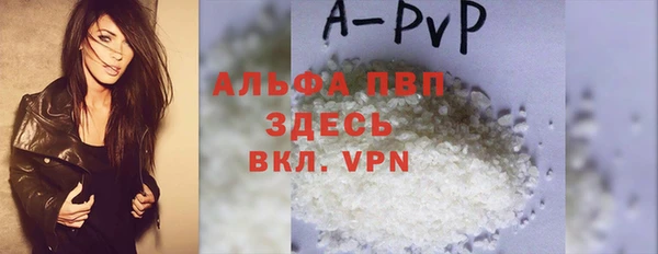 индика Алексин