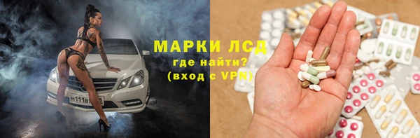 индика Алексин