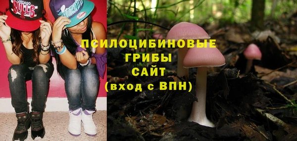 эйфоретик Алзамай