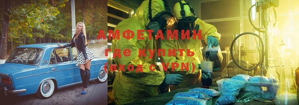 индика Алексин