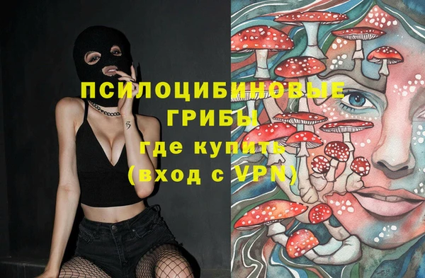 эйфоретик Алзамай