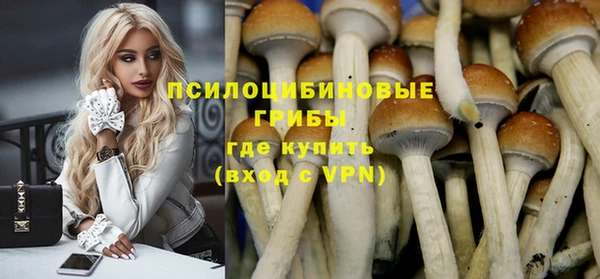 индика Алексин