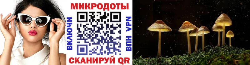 darknet состав  сколько стоит  blacksprut ссылки  Североуральск  Галлюциногенные грибы мухоморы 