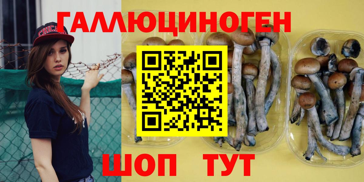 Псилоцибиновые грибы Magic Shrooms  как найти наркотики  Североуральск  Вход с VPN 