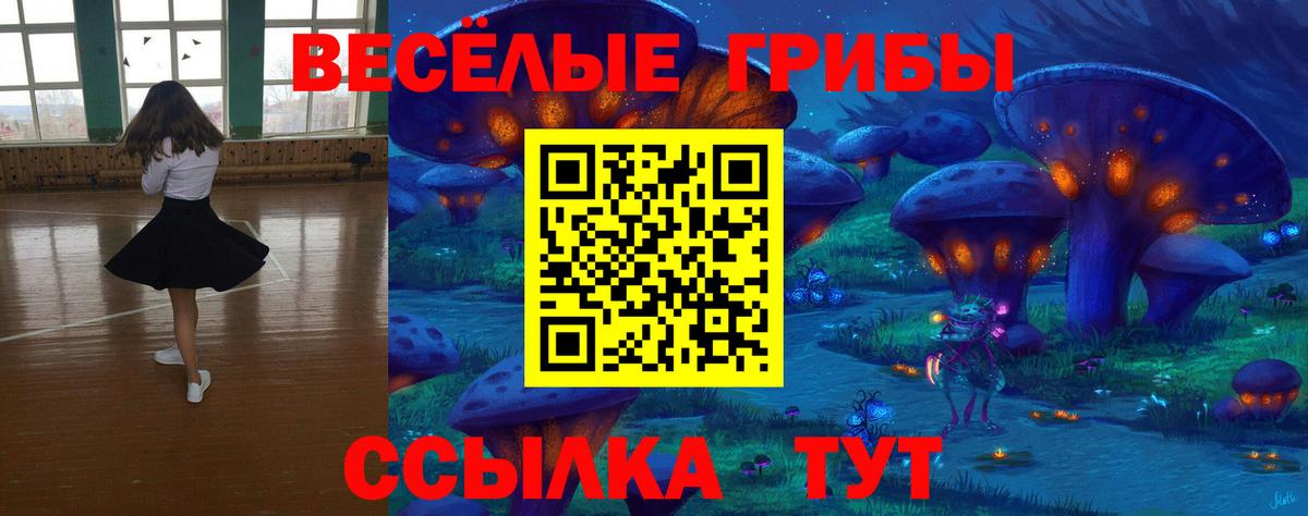 Галлюциногенные грибы GOLDEN TEACHER Североуральск